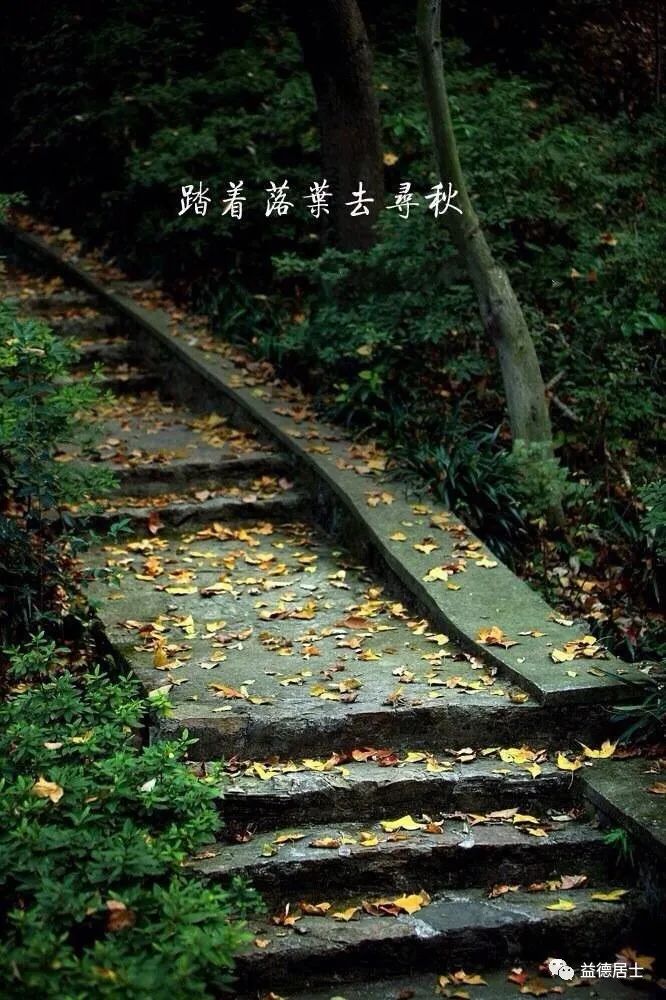 高粱立了秋再出穗还能熟吗,立了秋丢了扇全文的诗意是什么