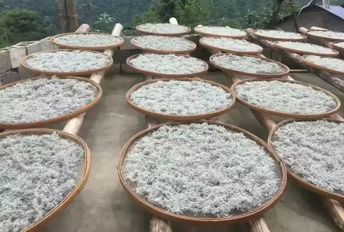 湖南张家界莓茶真的那么好吗,张家界莓茶简单介绍