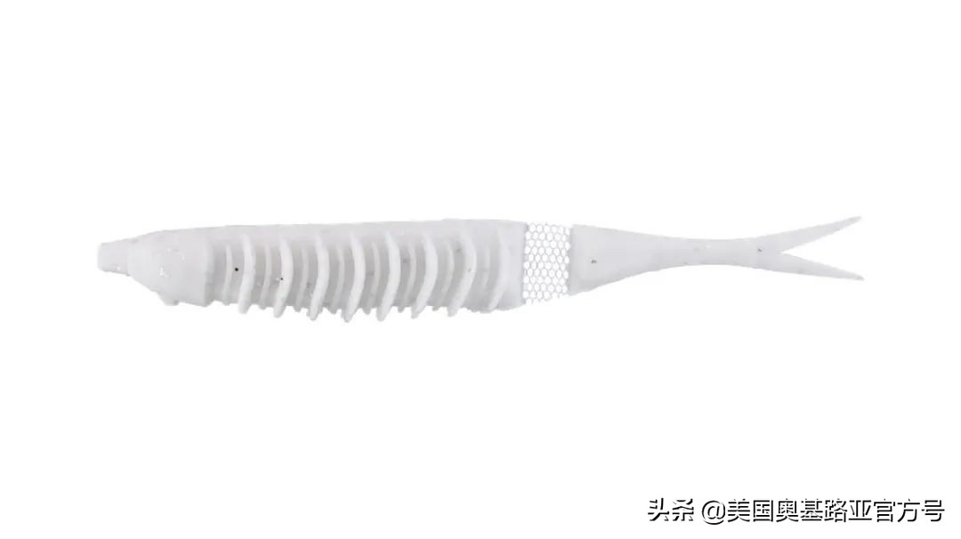 2024全国渔具展会一览表最新,2022年全国渔具展在哪