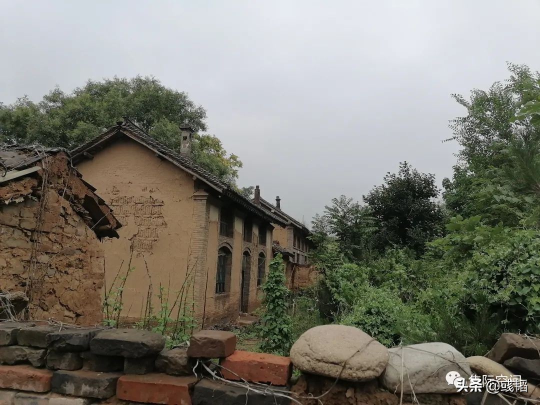 周末回老家的惬意时光,周末回农村的乐趣