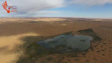 带娃来一场沙漠之旅,亲子沙漠旅游哪里好
