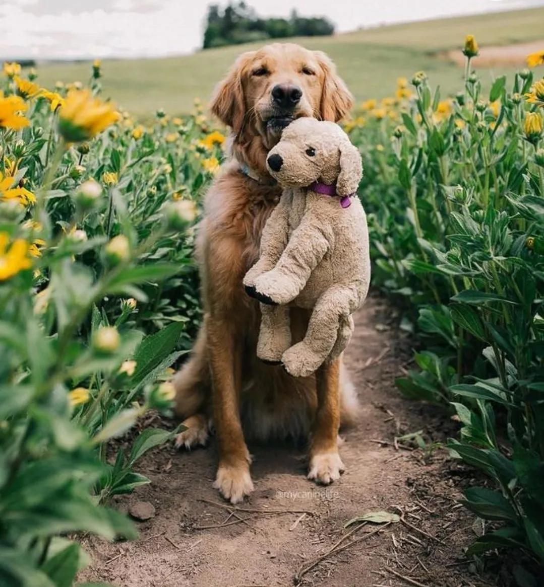 朋友应该是怎样的英语作文,朋友应该是怎么样的文案