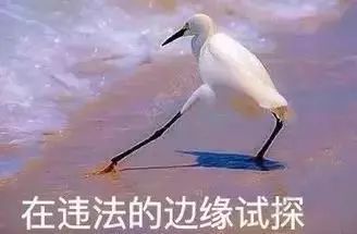 回国带国内禁止的东西怎么办,回国过海关什么东西不能带