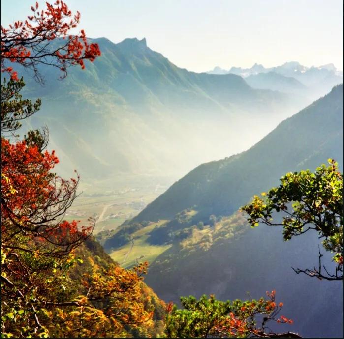 孟军创作的原声,孟军诗歌完整版