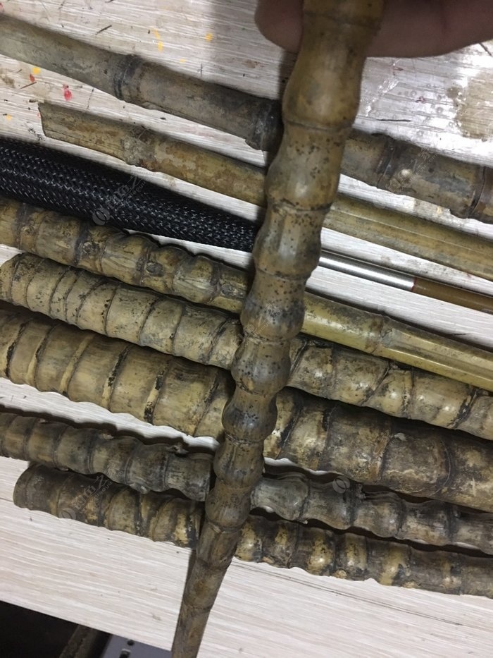 罗汉竹竿,罗汉竹和什么搭配好看