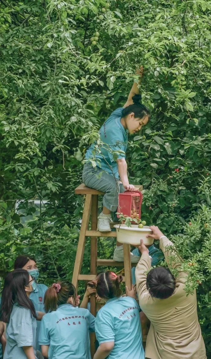 第1家国家4a级旅游区的大学博物馆,隐藏在各大校园里的有趣博物馆