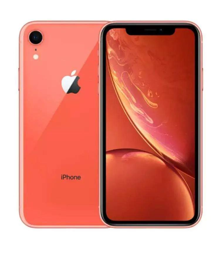 谈谈我的大学生活300字,谈谈我的作文600字