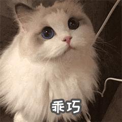 活力岛最新规划,活力岛最近有什么活动吗