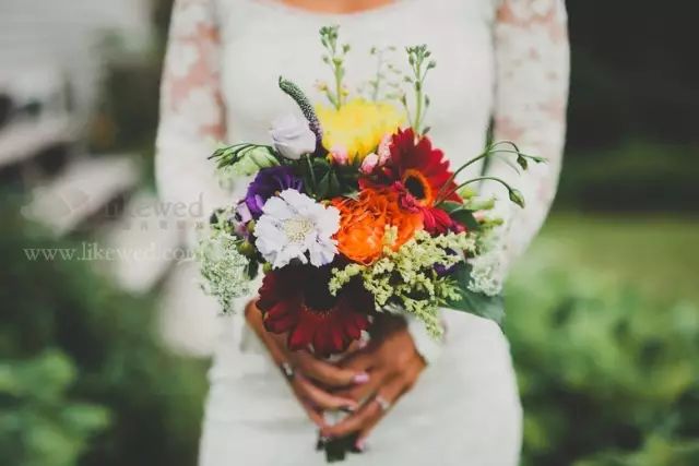 属相婚配表大全男女,猪女最佳属相婚配表