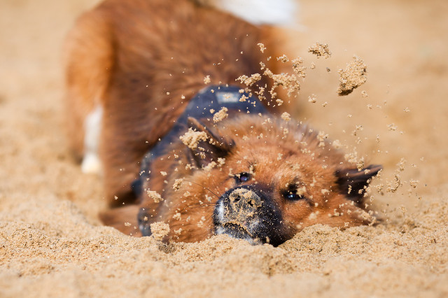 沙子的100种玩法,会拉丝的沙子玩法