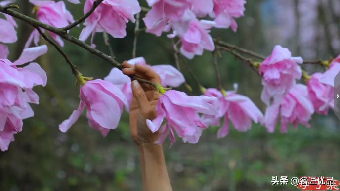 李子柒火了的视频,李子柒现身网红节却暴露真实颜值