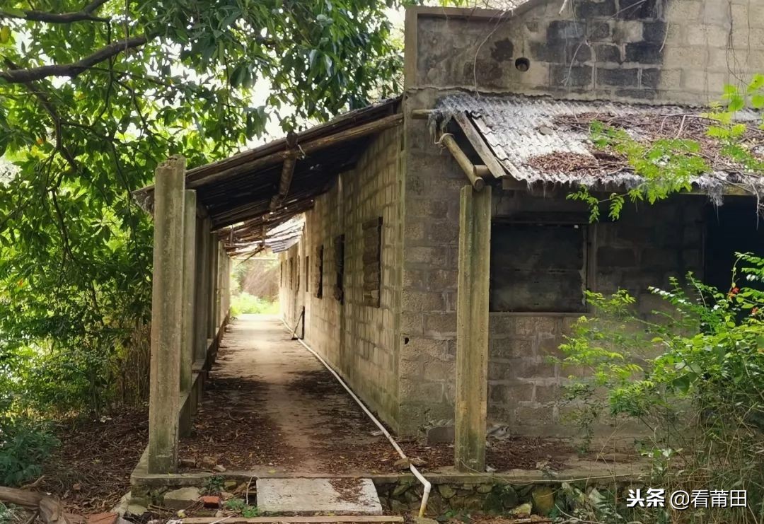 莆田快乐农庄以前的样子,莆田快乐农庄建什么