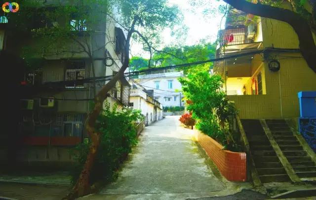 从平安路到桃园路的旧街，独属于老香洲的记忆