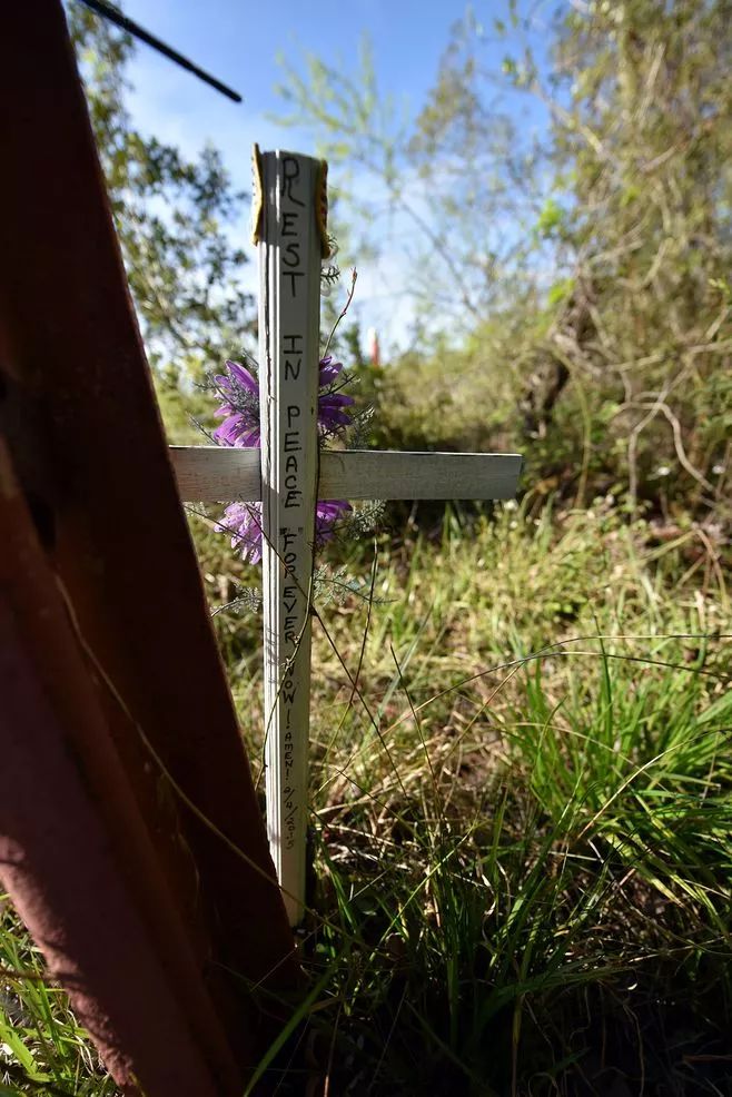 与熊同居28年神秘死亡，美国女人传奇的一生，隐藏着惊人结局