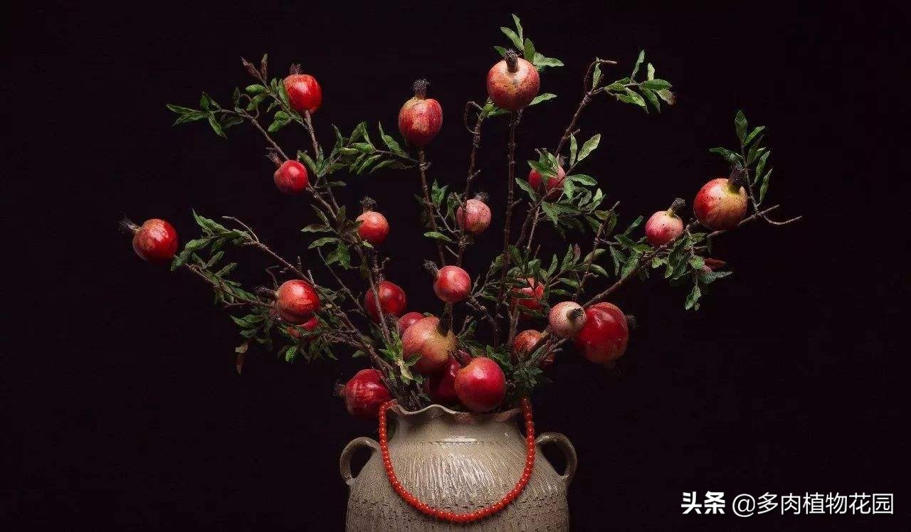 盆栽石榴怎样保花保果,盆栽石榴结果期如何管理