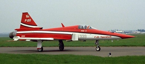 虎鲨悲剧,极富悲剧色彩的虎鲸