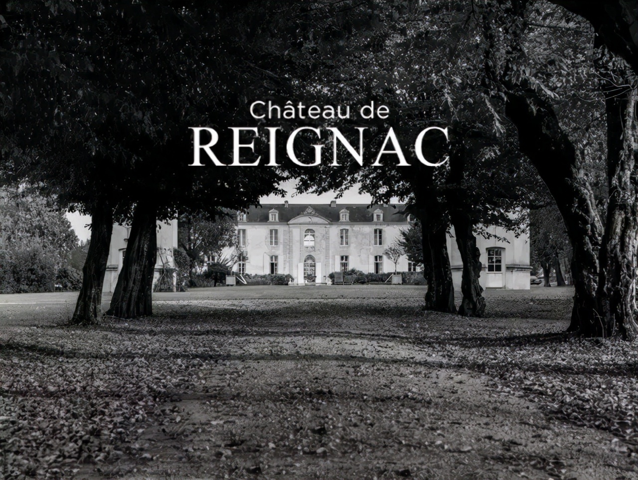 玛彤之梦超级波尔多葡萄酒,超级波尔多葡萄酒