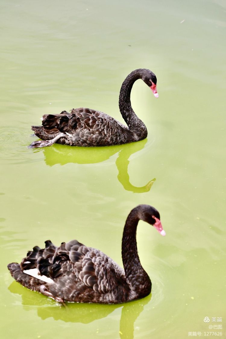 游玩万安山,洛阳万安山游玩攻略