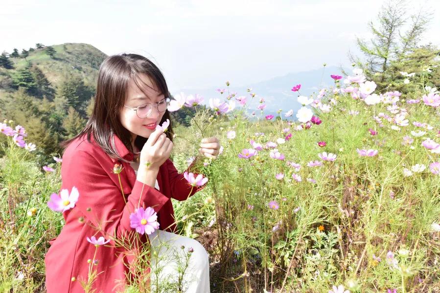 景点山楂树之恋,相约百里荒