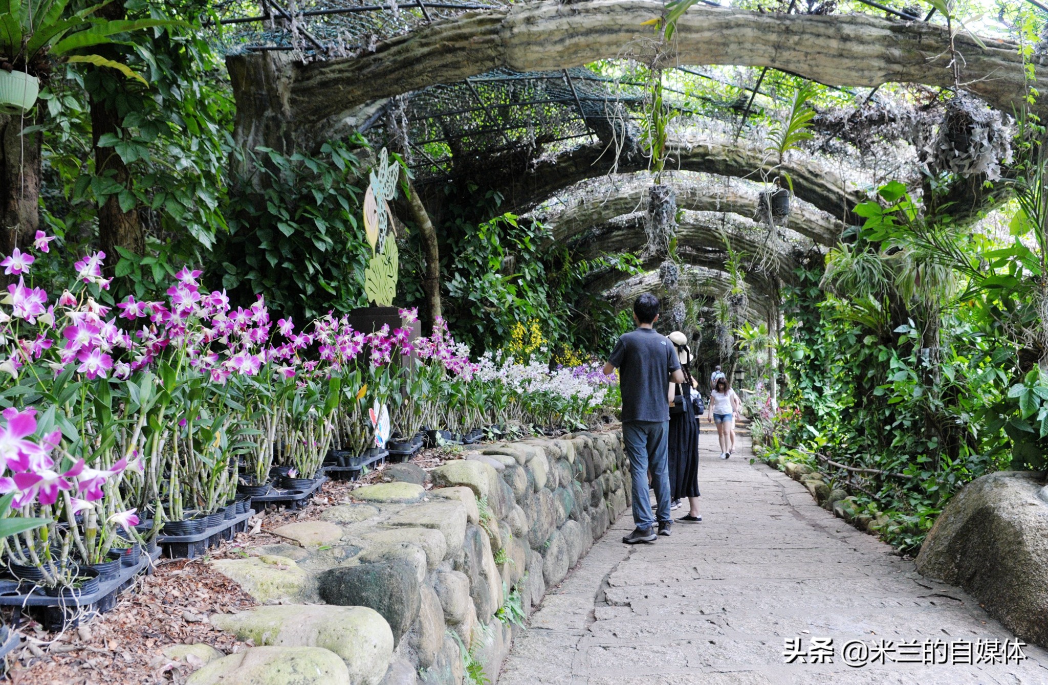 三亚旅游攻略美食推荐,三亚旅游美食攻略自由行
