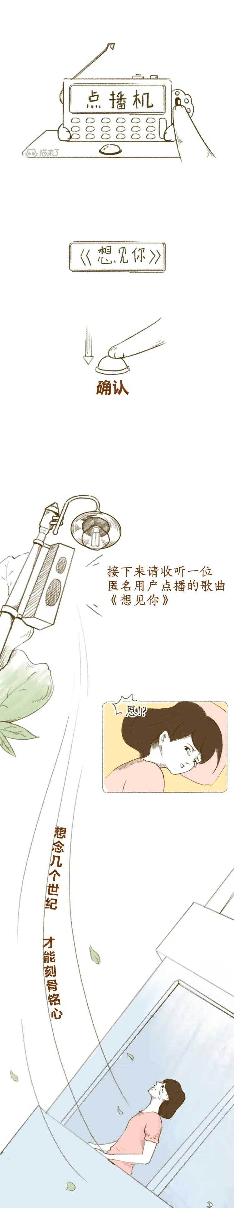 去世三年的猫猫,以前去世的猫咪还会回到你身边吗