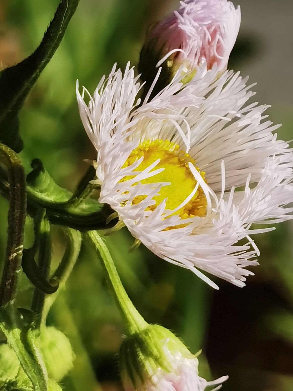 2022黑马星座,2021年运势最好的黑马星座