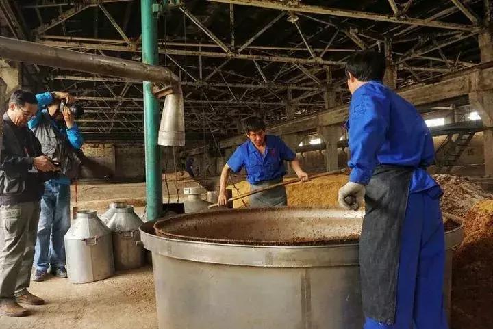 河南杜康酒业官网,豫酒振兴宝丰酒厂