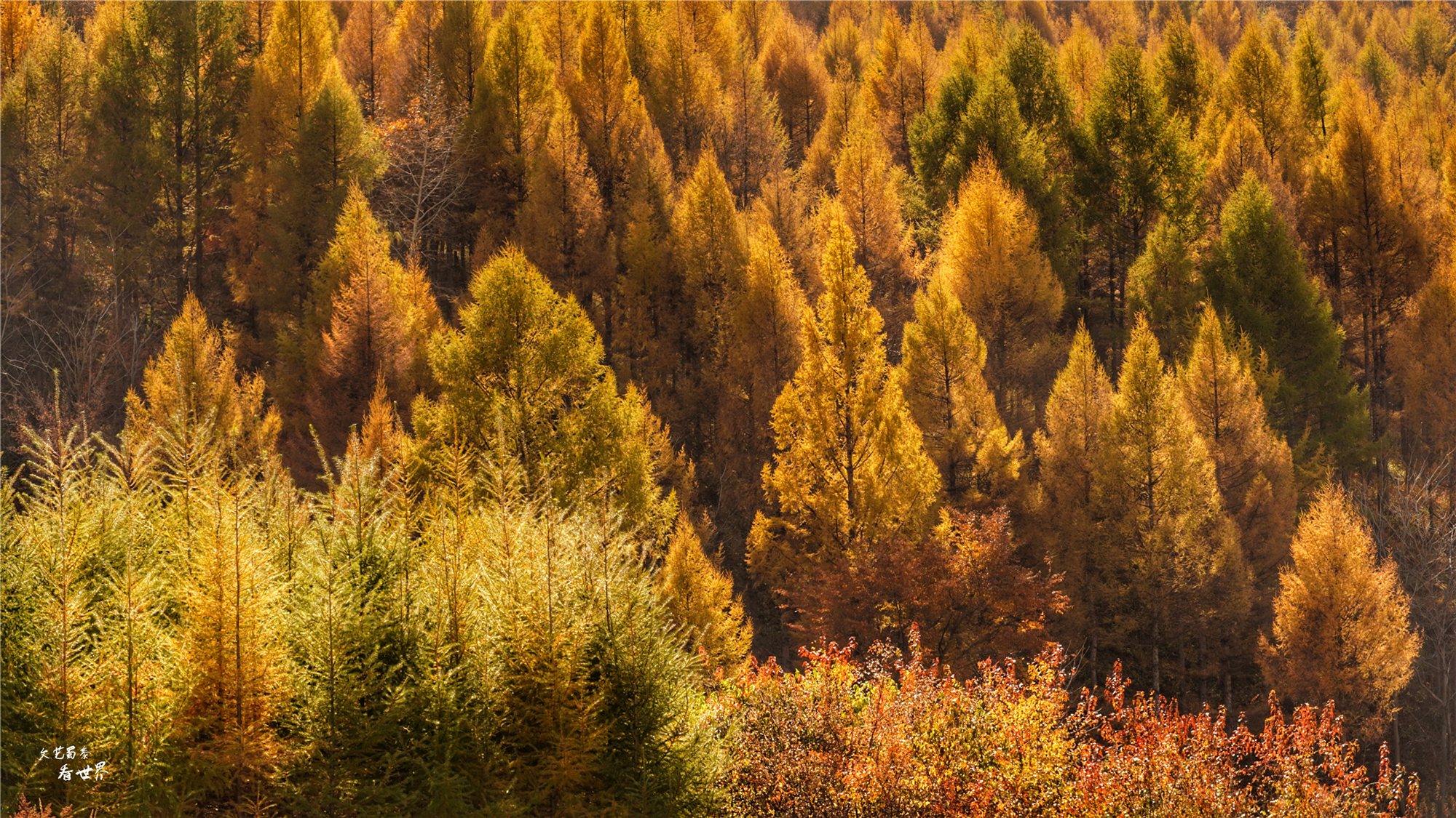 本溪关门山看枫叶最佳游览路线,本溪红叶层林尽染自驾游攻略