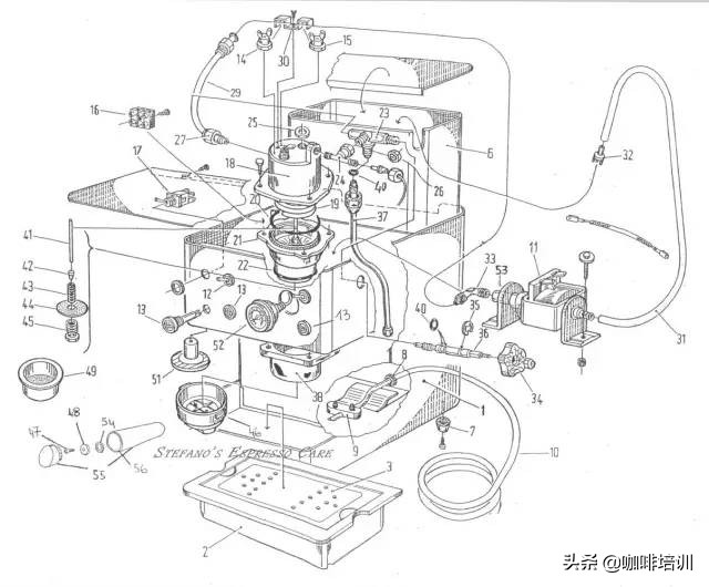 咖啡入门基础知识萃取,咖啡入门知识