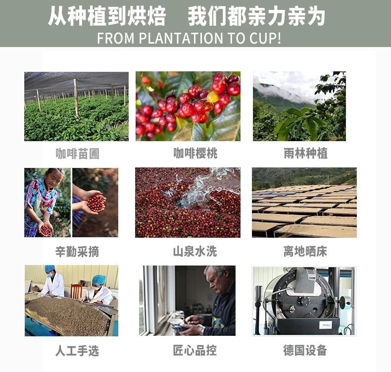 星巴克目前的一杯咖啡成本是多少,星巴克最好喝的前十名咖啡价钱