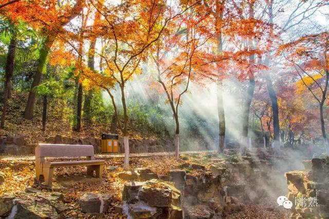 何必去远方原唱视频,何必去远方京都在左常熟在右