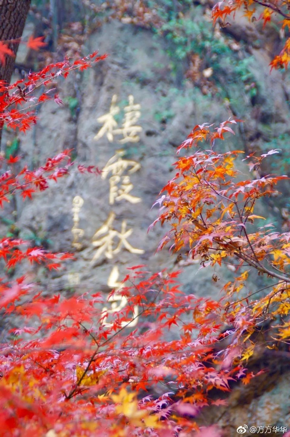 一到秋天南京就成了金陵,一入秋南京就成了金陵