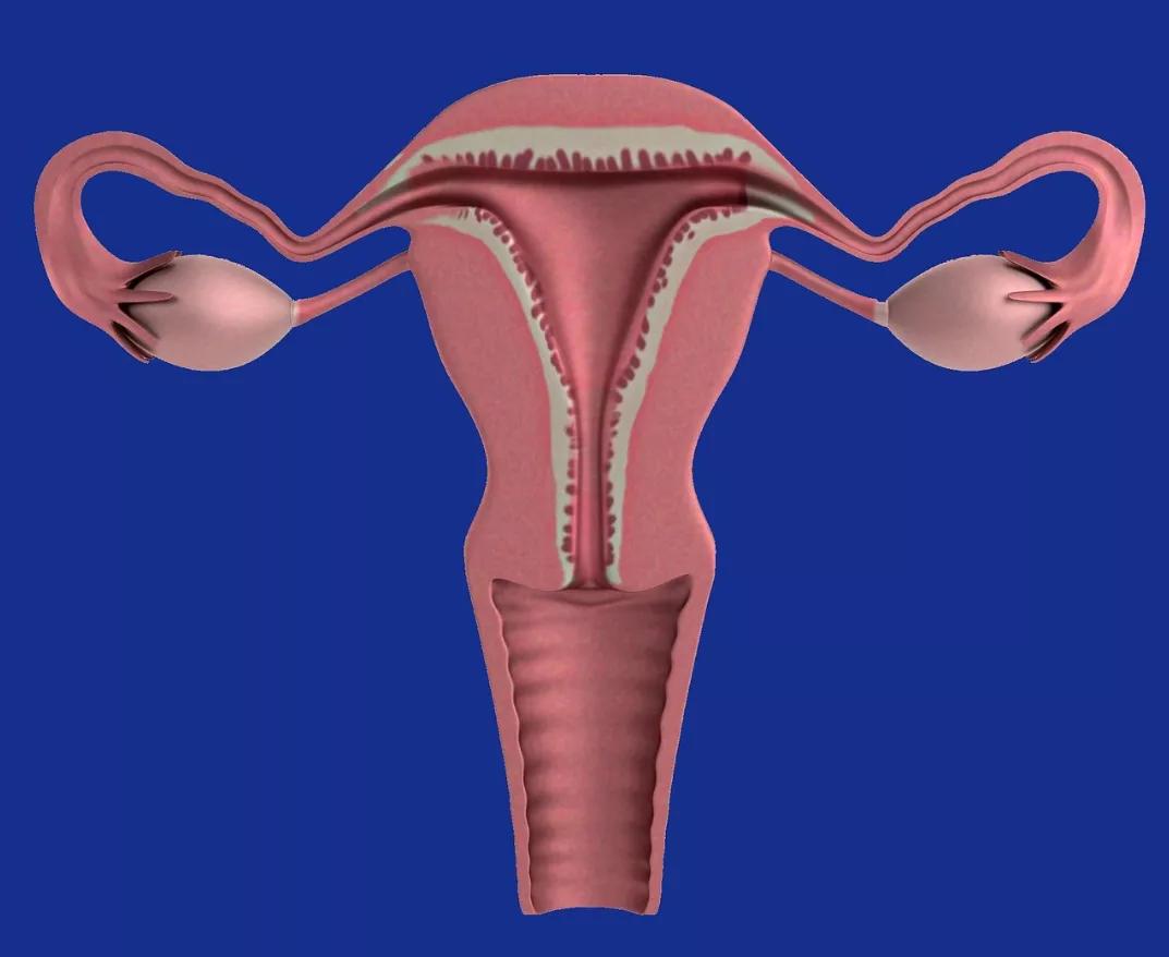 古代女性正确的避孕方式,女性避孕的9种最佳方式