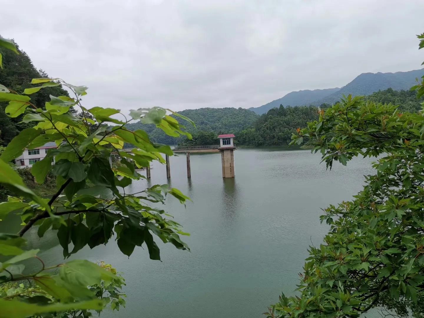 调理篇：妇科顽固炎症如何提高抵抗力?