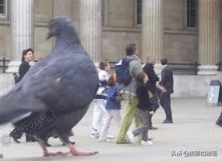 错位照片姿势大全,错位照片搞笑