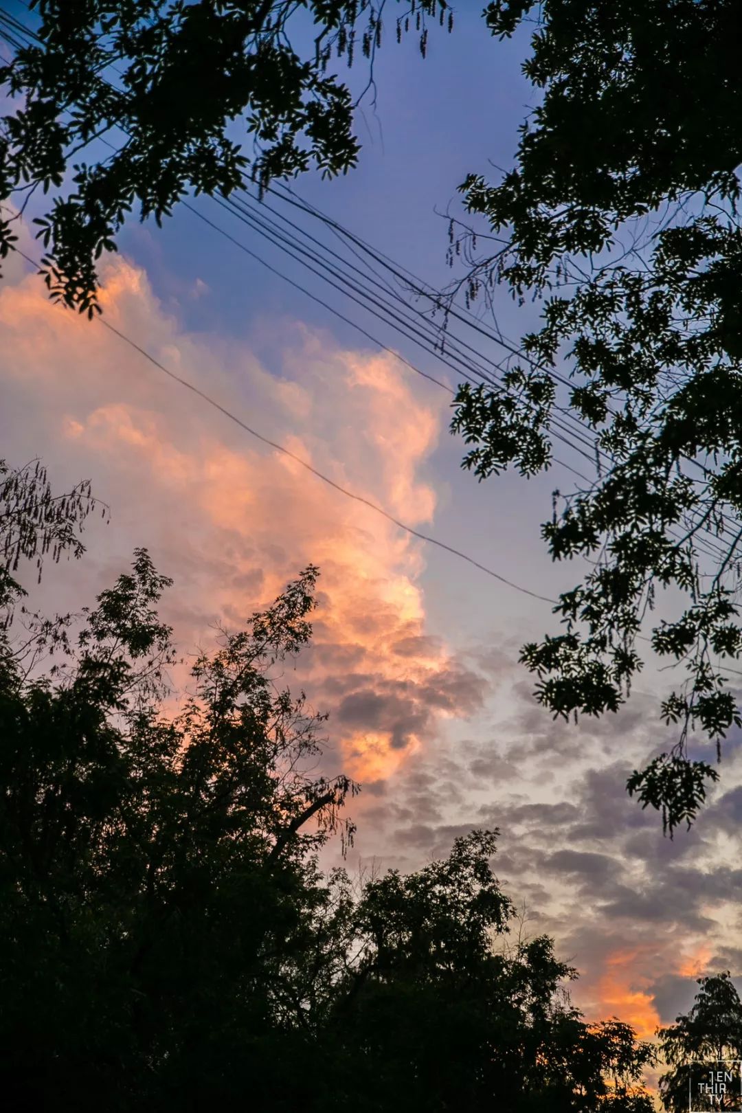 终于来了！武大超全吃货攻略，带你吃遍武汉大学