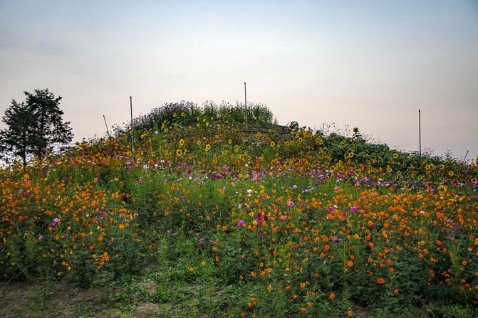 春有百花秋有月景点在哪,九龙湾花彩小镇醉美公园