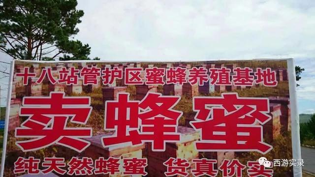 跨国自驾环球旅行,中国驾车环球旅行第一人