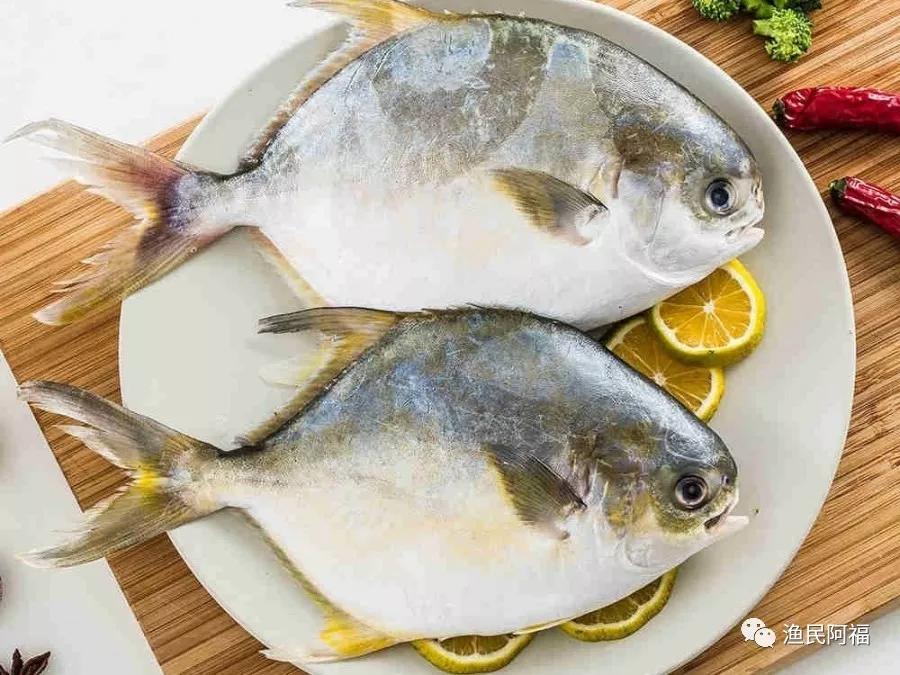 最适合孩子吃的7种鱼，你给孩子吃过几种呢？