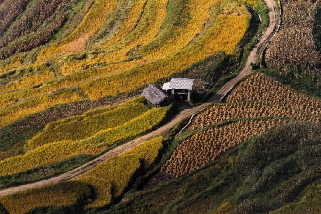 龙江“窝铺”里的光阴阡陌：风情万种地述说着乡愁