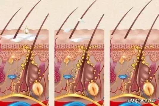 亲测有效的防脱发小技巧,脱发严重这个防脱发妙招很好用