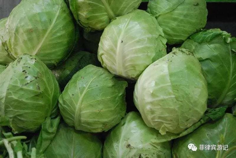 菲律宾青菜价格表,菲律宾蔬菜为什么那么贵