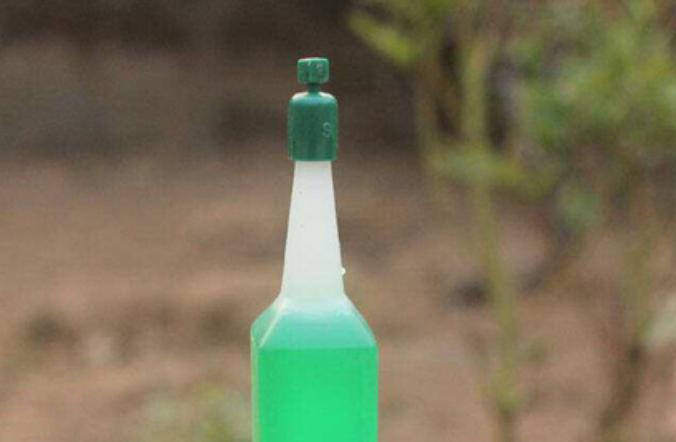 水培绿萝怎么养才能长得更旺盛,水培绿萝怎么养才能更旺盛不发黄