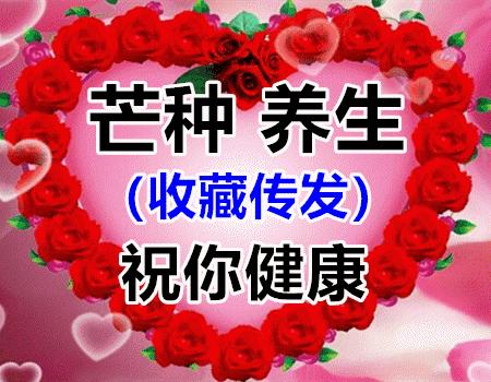 芒种来临盛夏已至芒种养生六要点,今日芒种播种与收获