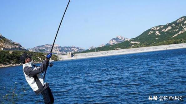 中通竿、前打竿和矶钓竿，究竟该选哪一个？这篇文章告诉你答案