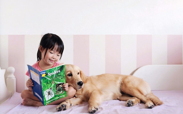 怀孕养宠危害大吗,为什么医生都不建议怀孕后养宠物