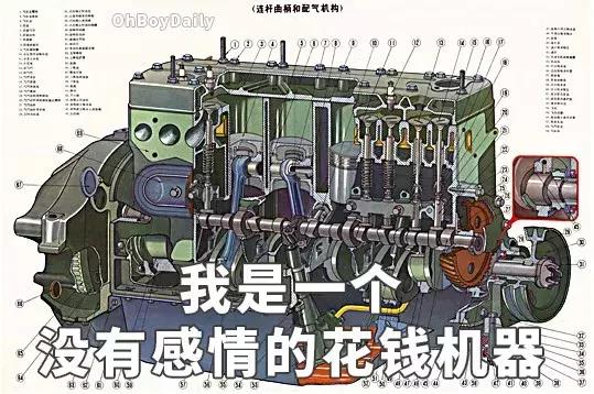 当代女生花钱图鉴,中国花钱图鉴电子版