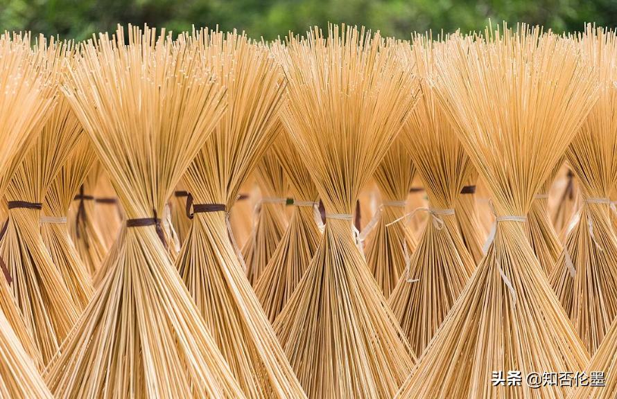 2024年返乡创业可以做什么项目,年轻人在农村创业投资十大好项目