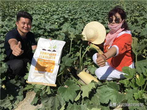 益沛蔬复合微生物菌剂的使用方法,微生物菌剂和什么一起用效果最好