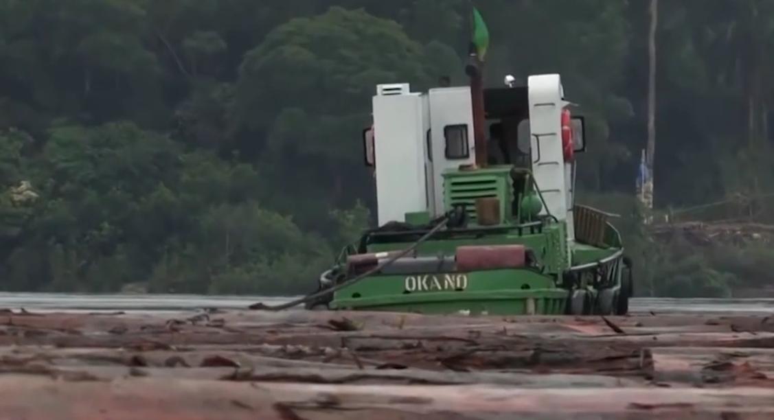 纪录片：太危险！非洲人工原木运输月薪5000元，重卡司机却是一万